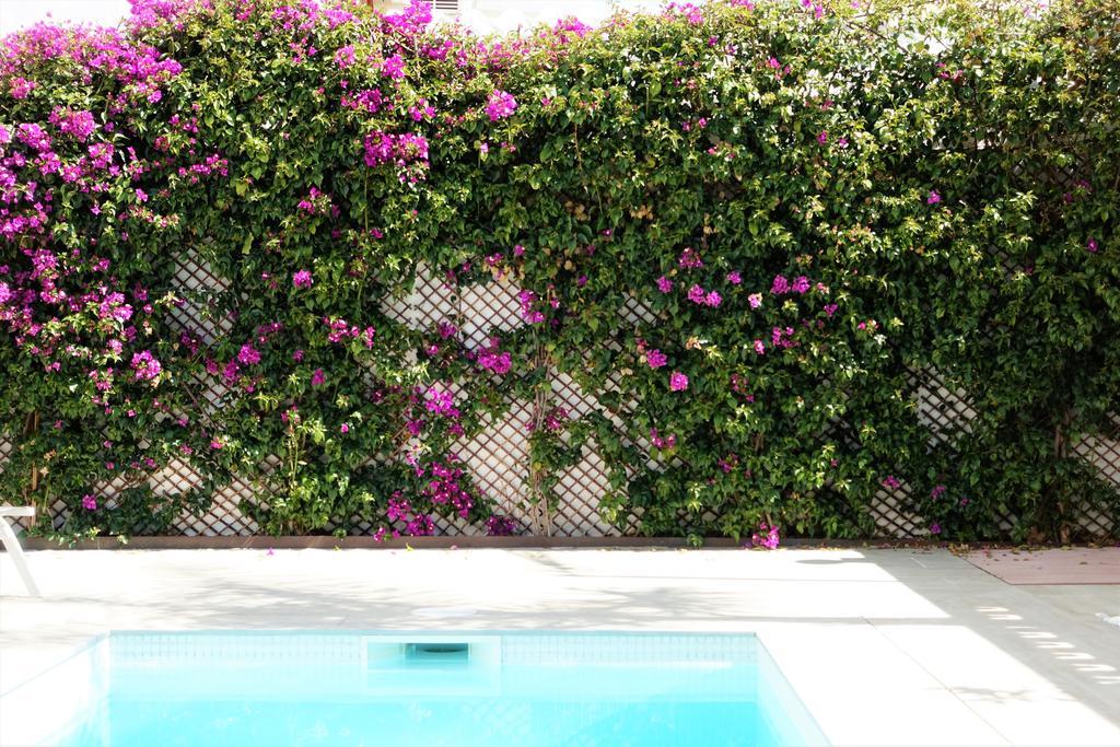 Villa Casa Molinar Palma di Maiorca Esterno foto